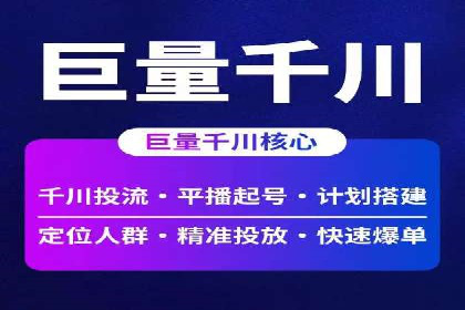 抖音信息流代理在电商行业的应用案例分析